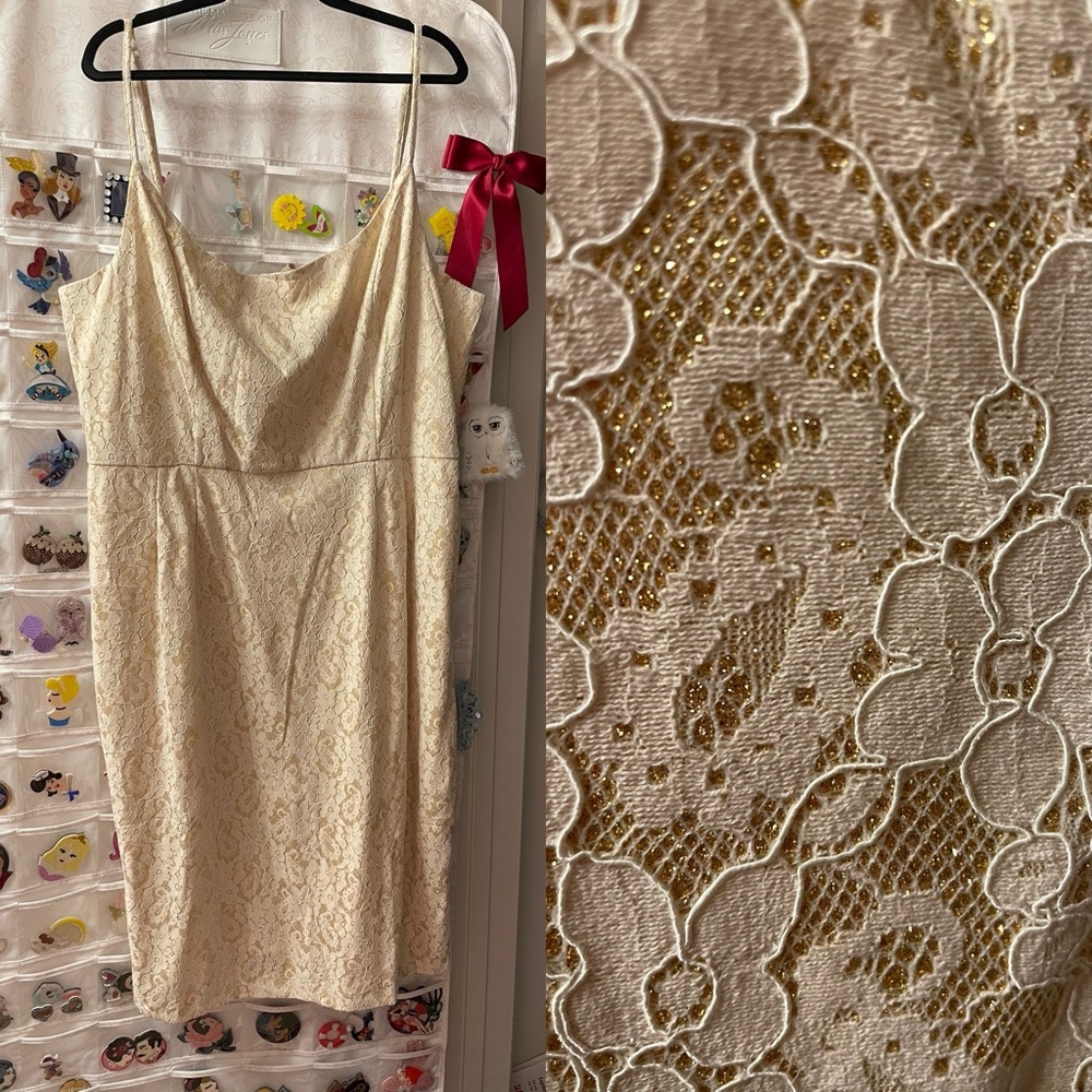 Tatyana champagne Jayne pencil dress